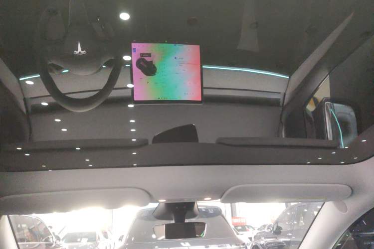 Used Tesla Model Y 2024 Rear-Wheel-Drive Version Headliner