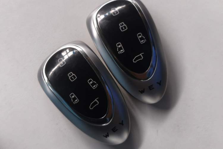 Used Wey Gaoshan 2023 Four-Wheel Drive Flagship Edition
