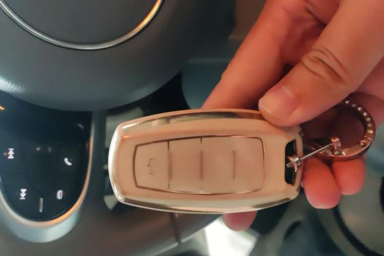 Used ORA White Cat 2020 401 km Long-Range Version
