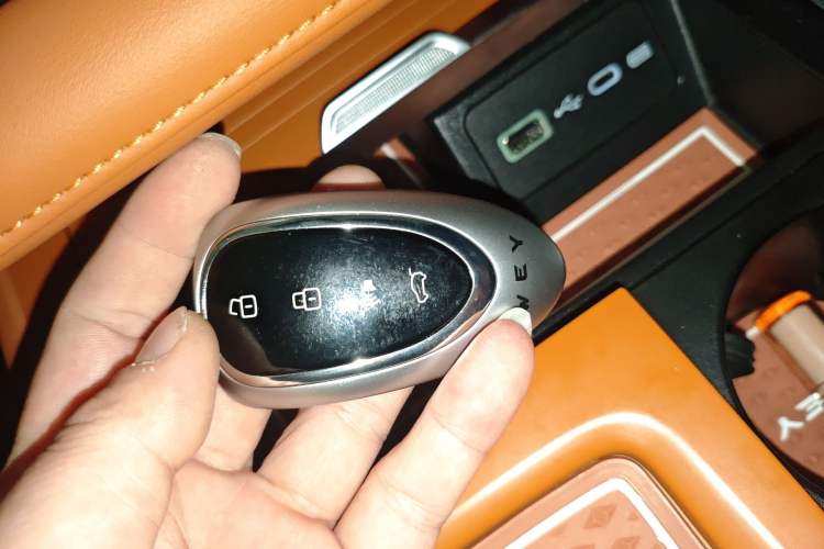 Used Wey Lanshan 2023 Four-Wheel Drive Ultra-Long Range Version Interior 1