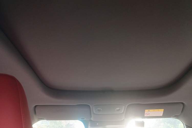 Used Leapmotor S01 2020 460 Pro Headliner