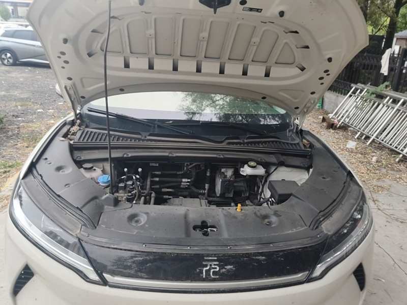 Used BYD Yuan UP 2025 Model 301KM Leading Version — 19