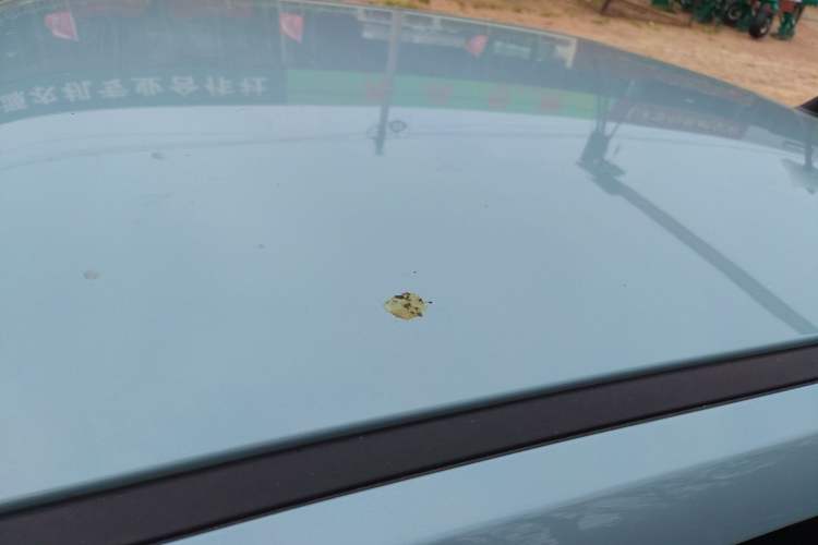 Used Wuling Hongguang MINIEV 2020 Enjoyment Model Lithium Iron Phosphate Roof