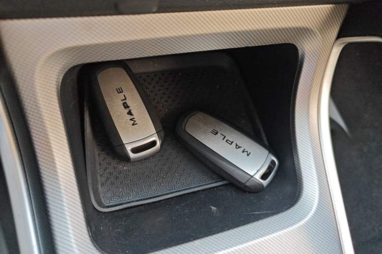 Used Livan Maple 30X 2020 Style Edition
