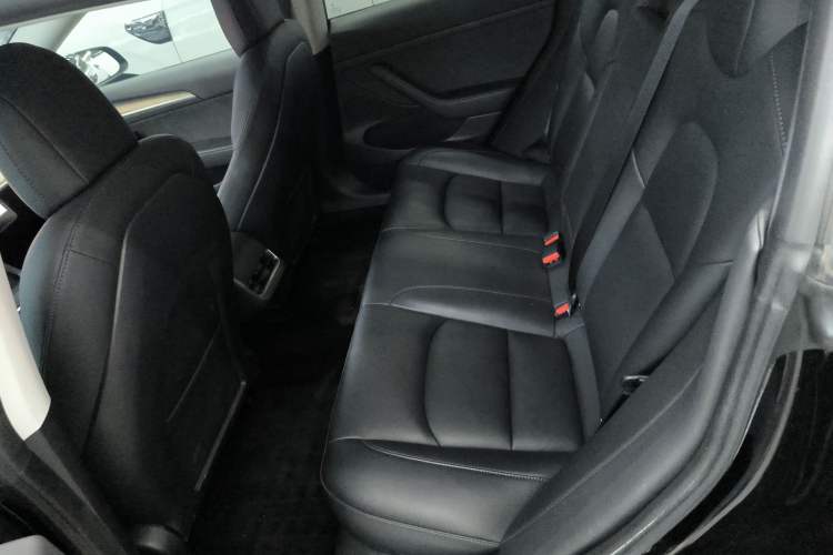 Used Tesla Model 3 2021 Standard Range Rear-Wheel Drive Upgraded Version 3D6