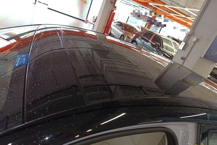 Used firefly 2025 Illuminated Edition