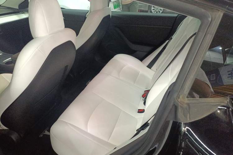 Used Tesla Model 3 2022 Rear-Wheel-Drive Version Left Rear Seat