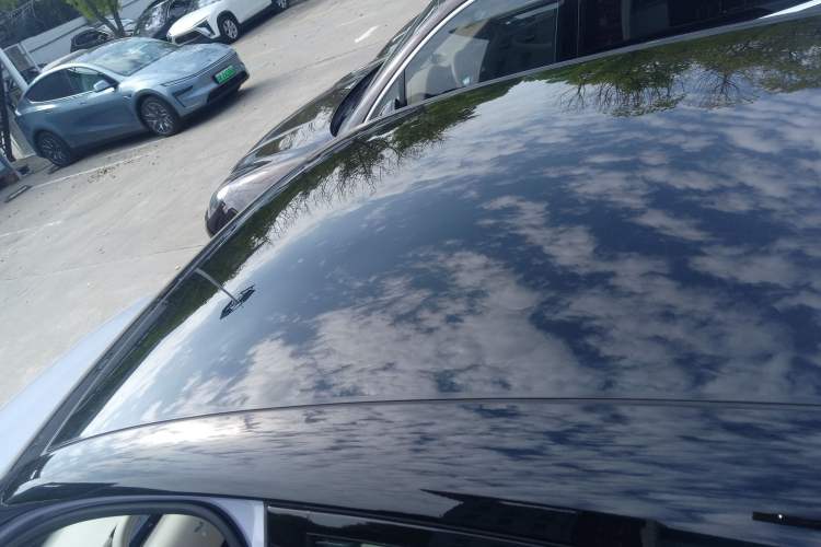 Used firefly 2025 Illuminated Edition