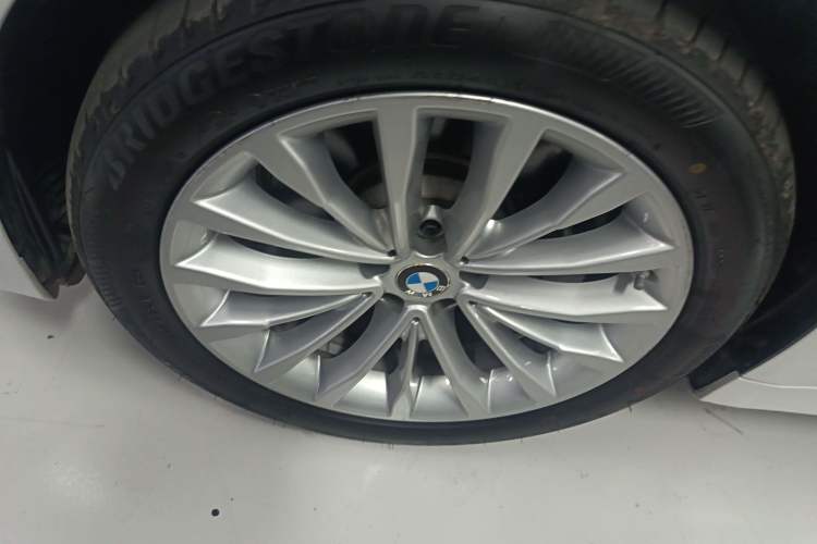 Used BMW 5 Series New Energy 2020 530Le Luxury Package Exterior 4