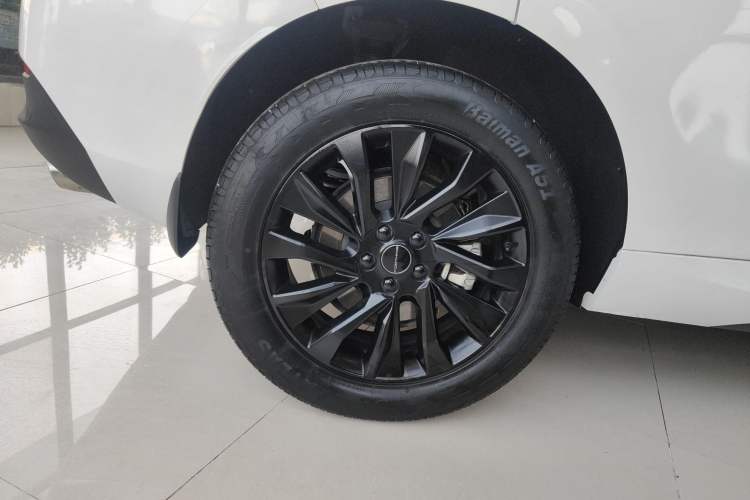 Used FORTHING T5 EVO 2021 1.5TD DCT Starry Edition
