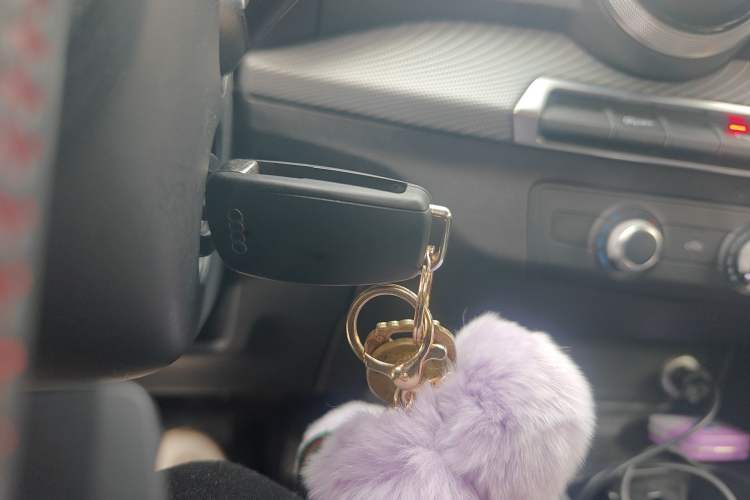 Used Audi Q2L 2022 35 TFSI Progressive Dynamic Edition
