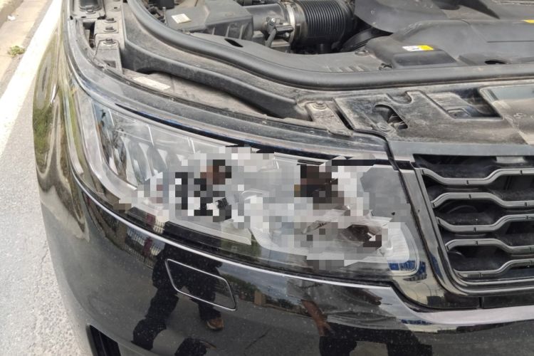 Used Land Rover Range Sport 2021 3.0 L6 YAO Black Edition Right Front Headlight