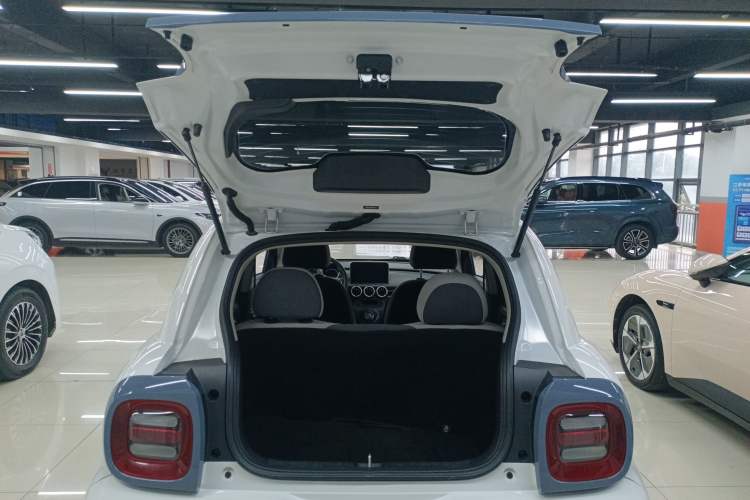 Used ORA Black Cat 2021 351 km Luxury Version