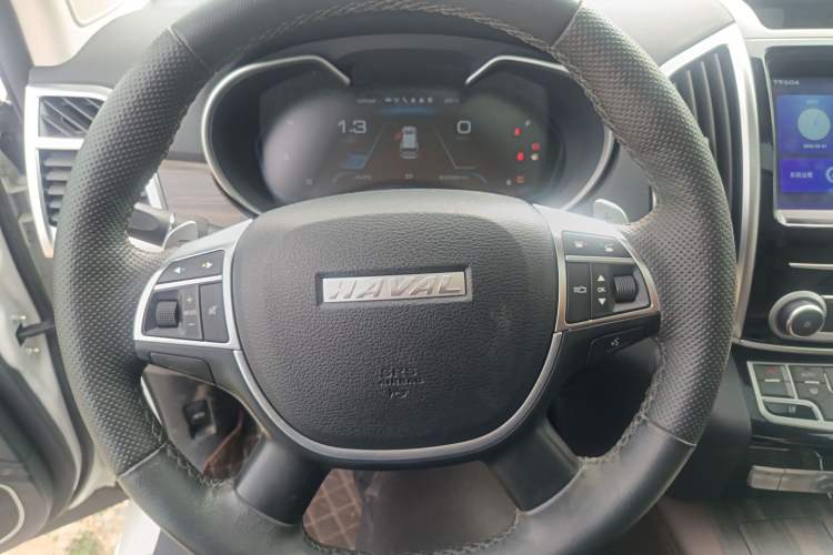 Used Haval H9 2020 2.0T Gasoline 4WD Smart Enjoyment Version 5 Seats
