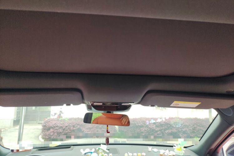 Used Li Auto L8 2023 Air model Headliner