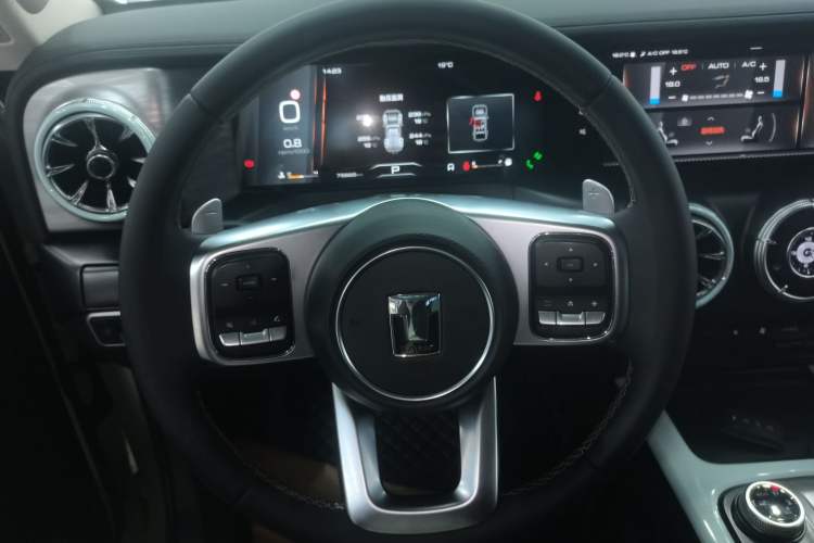 Used Tank 300 2023 City Edition 2.0T—Stylish as Ever Steering Wheel