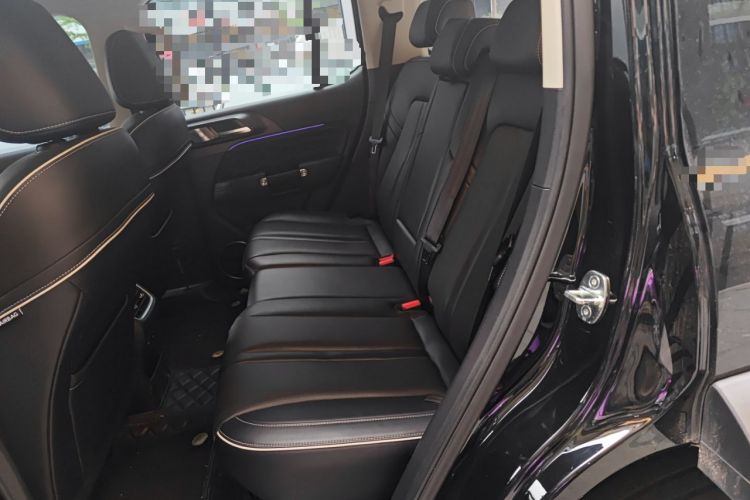 Used Tank 300 2021 Off-Road Edition 2.0T Conqueror Left Rear Seat