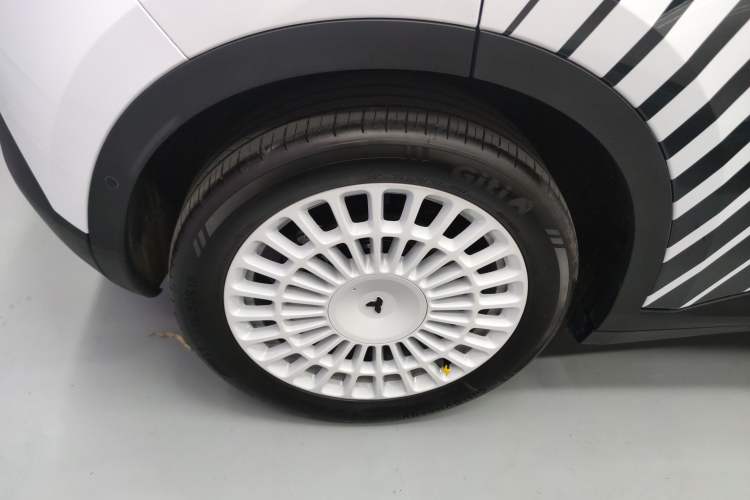 Used firefly 2025 Night Creature Special Edition
