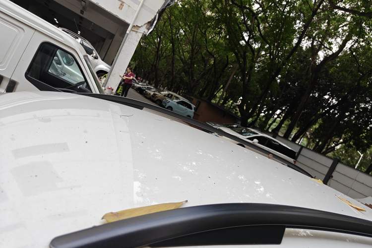 Used Volkswagen Tiguan 2016 300TSI Automatic Two-Wheel Drive Trend Edition Roof