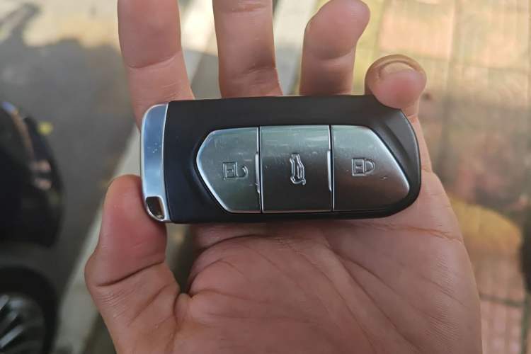 Used VOYAH FREE 2021 Four-Wheel Drive Standard Range-Extended Exclusive Luxury Package
