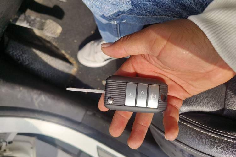 Used Roewe RX5 2018 20T Two-Wheel Drive Manual Flagship Edition