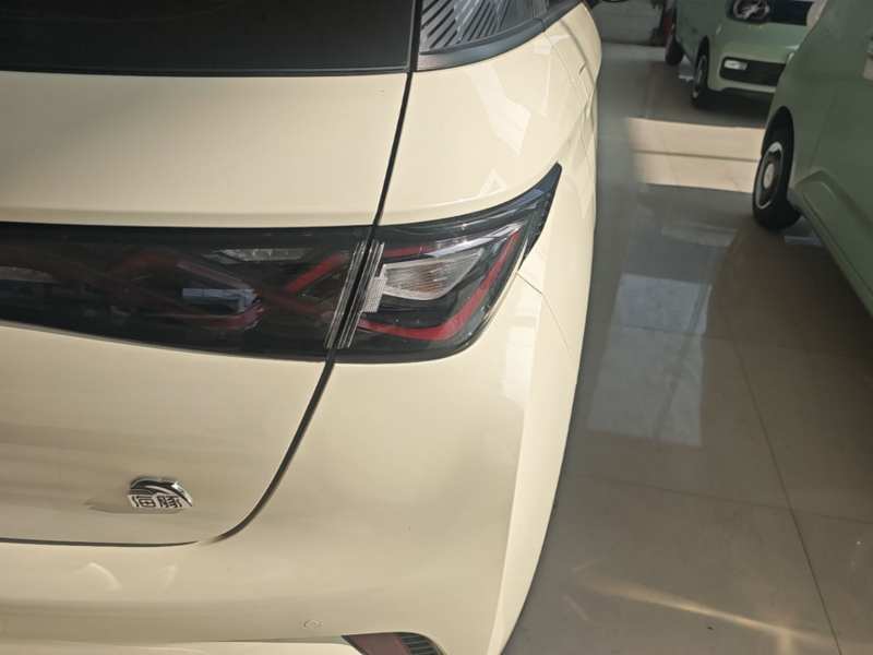 Used BYD Dolphin 2023 420 km Free Version — 7