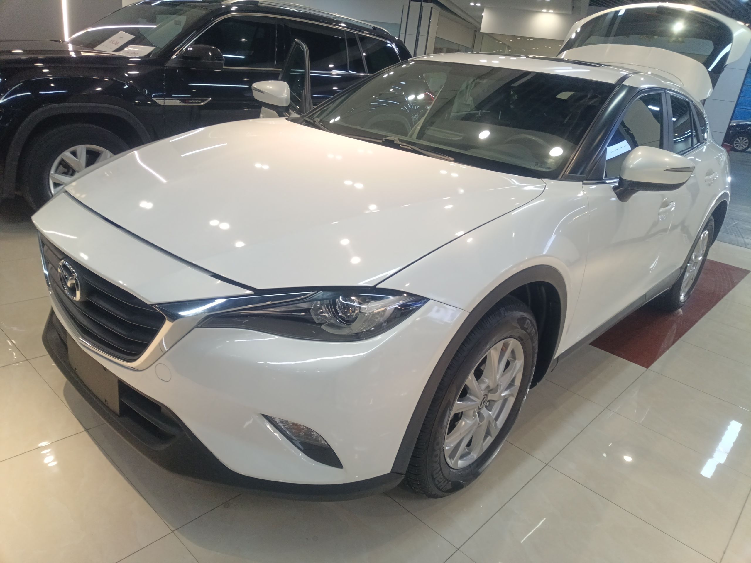 Parte inferior delantera