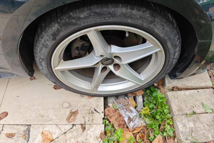 Used Audi A5 2017 Sportback 40 TFSI Fashion Model
