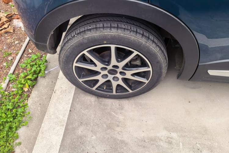 Used Dayun Yuehu 2022 30.66 kWh Two-Wheel Drive VIP Edition
