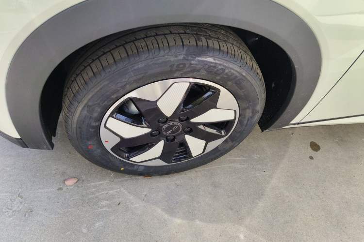 Used BYD Dolphin 2025 420km Free Edition
