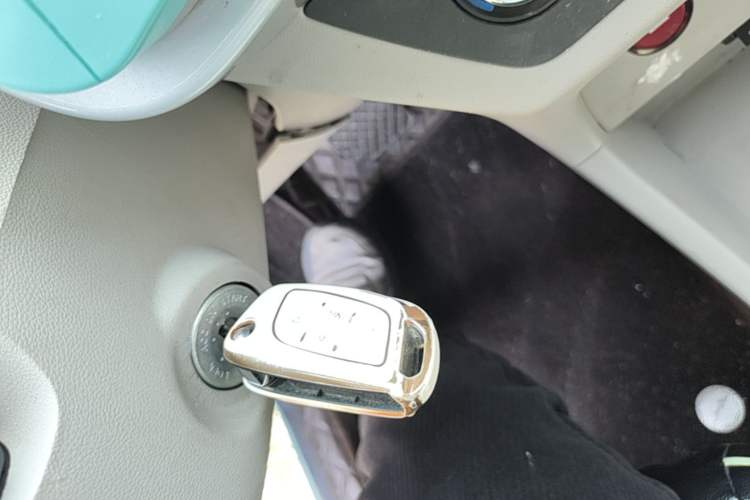 Used JMEV Xiao Qilin 2023 Joyful Edition 201km Comfort Model
