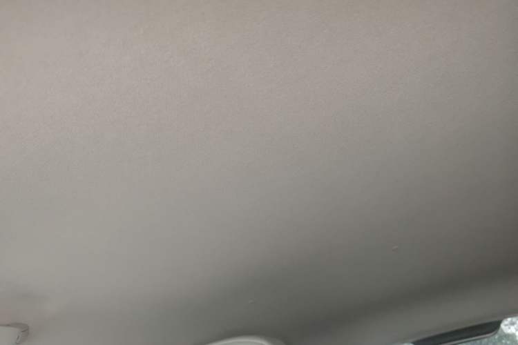 Used Qiyuan Lumin 2022 210km Sweet Edition