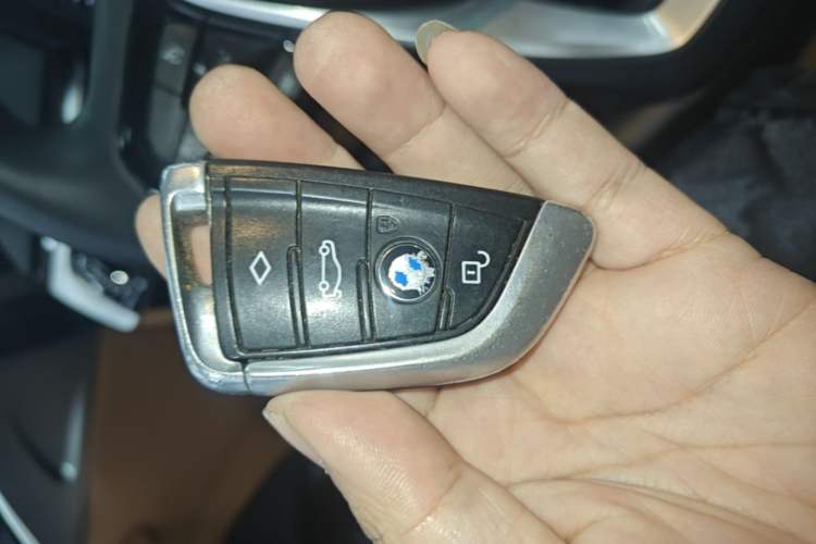 Used BMW 5 Series 2018 528Li Launch Special Edition
