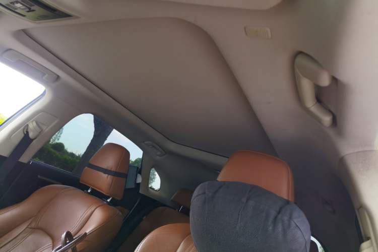 Used Lexus RX 2020 300 4x4 Elegant Edition China VI Headliner