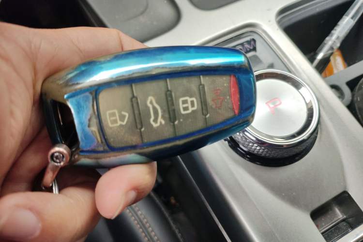 Used Haval DARGO 2024 2.0T DCT Chinese Rural Dog Edition