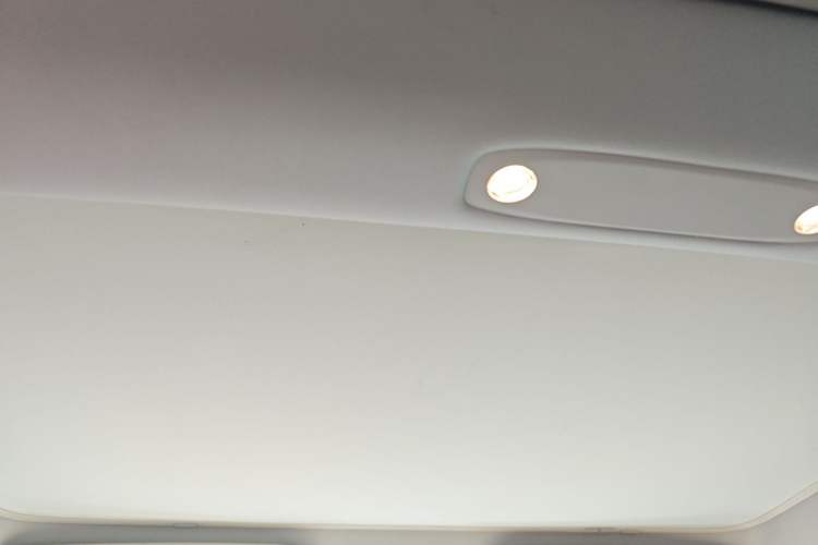 Used Tesla Model 3 2021 Performance High-Performance All-Wheel-Drive Version Headliner