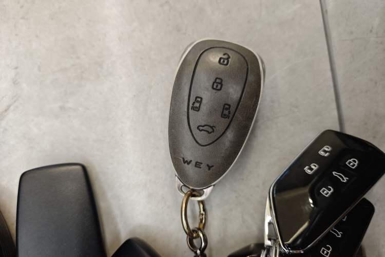 Used Wey Gaoshan 2023 Four-Wheel Drive Flagship Edition
