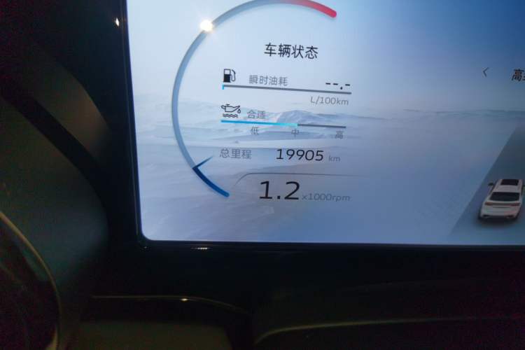 Used Geely Auto Monjaro L 2021 2.0TD DCT EVO Two-Wheel Drive Prestige Version Odometer Close Up