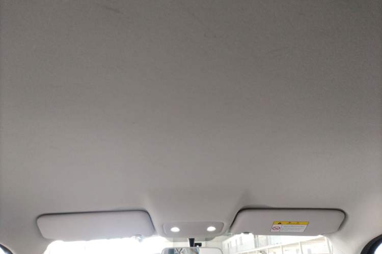 Used Leapmotor T03 2023 310 Lite Edition Headliner