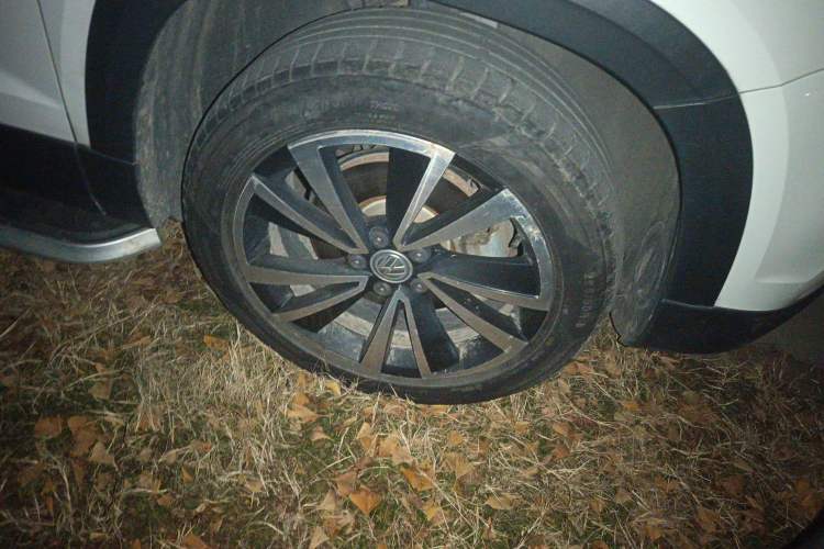 Used Volkswagen Tharu 2020 280TSI Two-Wheel Drive Luxury Plus Version China VI Standard
