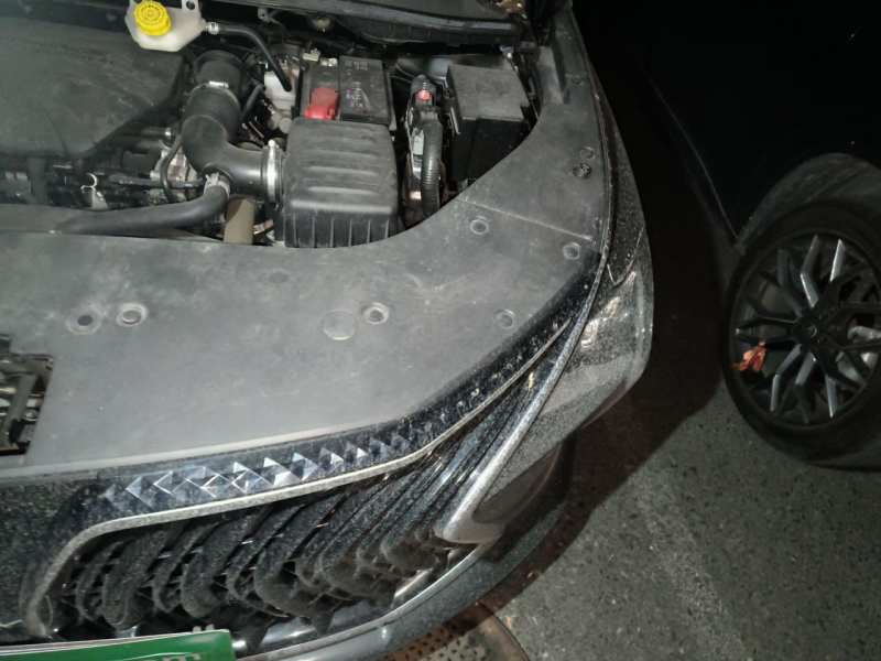 Used FORTHING Yacht 2024 1.5T DCT Guanhai Edition — 24