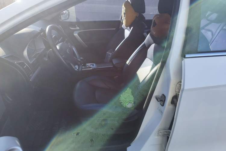 Used Geely Auto Emgrand New Energy 2017 EV300 Elite Model
