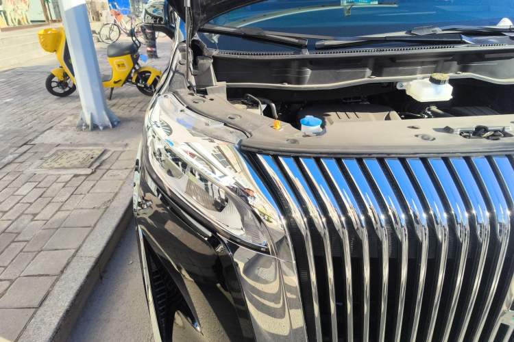 Used Wey Gaoshan 2025 Four-Wheel Drive Alpine 8
