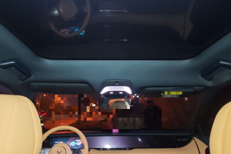 Used VOYAH FREE 2021 Four-Wheel Drive Standard All-Electric Exclusive Luxury Package Headliner