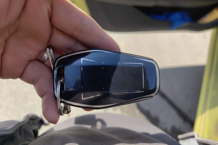 Used SOL E10X 2022 Flower Fairy Design Four-Leaf Clover Vehicle Key