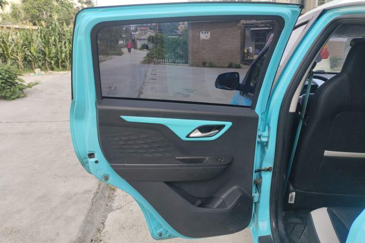 Used SOL E10X 2022 Flower Fairy Design Four-Leaf Clover