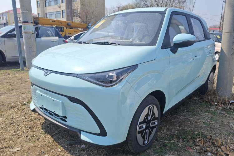 Used Cowin October 2025 Mate 300km Surfing Edition