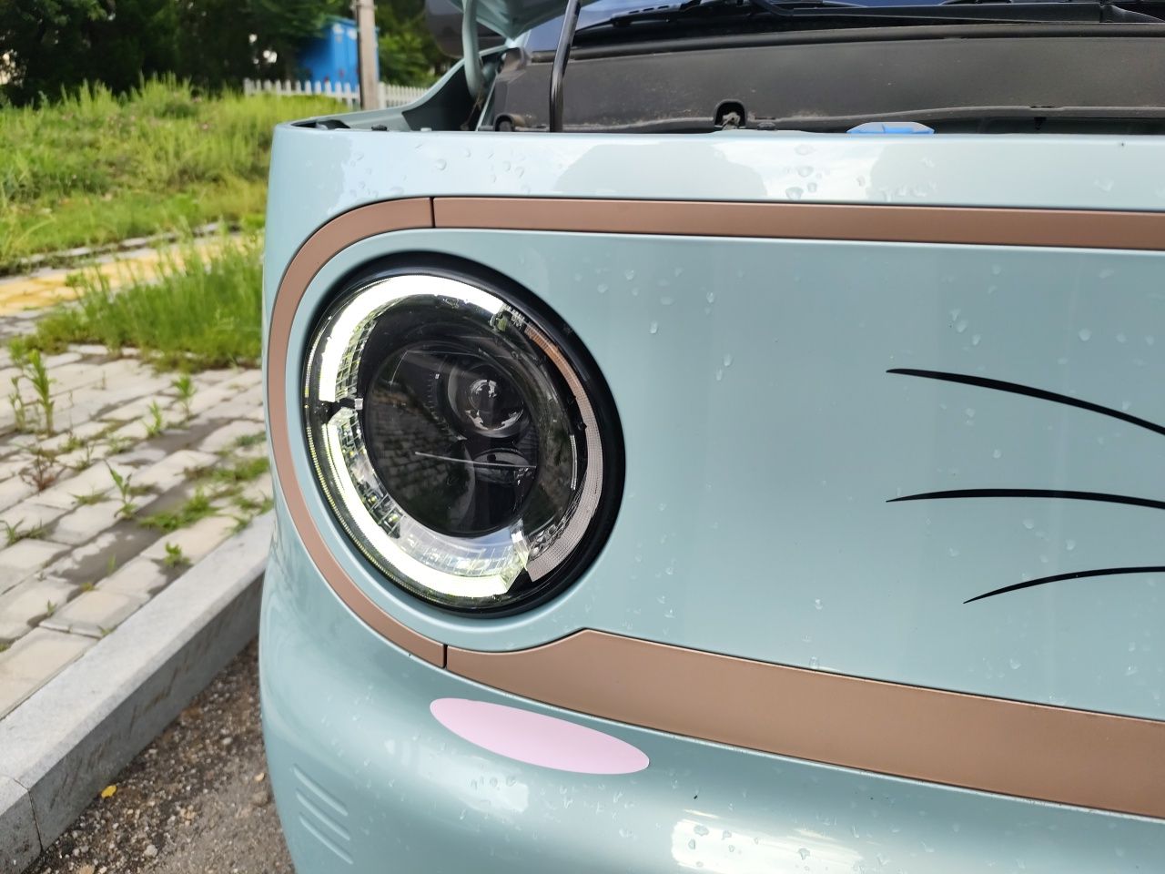 Geely Galaxy Panda 2024 Panda Mini 200km Endurance Bear — снимка 7