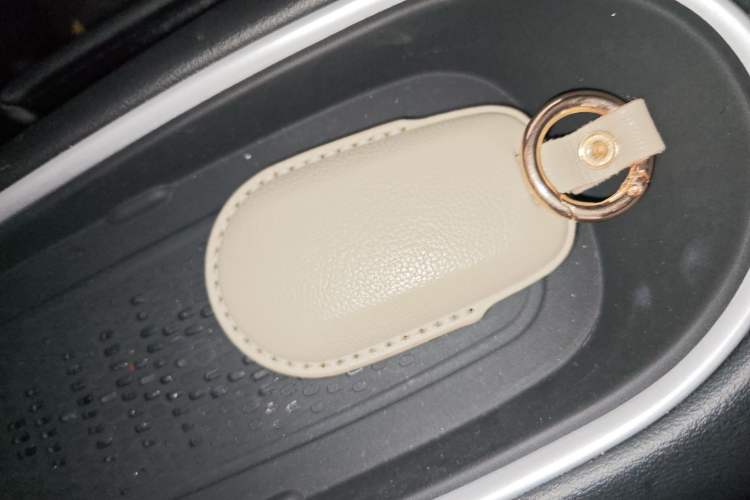 Used ORA Good Cat GT 2024 Mulan Edition 401 km Range Prestige Version 135 kW
