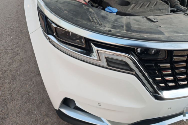 Used Kia Carnival 2021 2.0T Flagship Edition